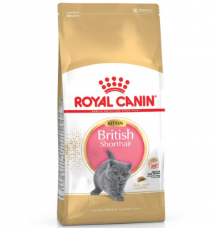 Royal Canin British Shorthair Kitten 2 kg Kedi Maması kullananlar yorumlar